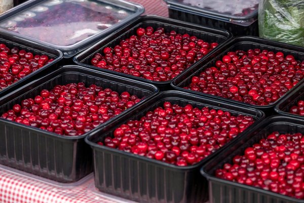 Quelles sont les options écologiques pour des ustensiles de cuisine ?