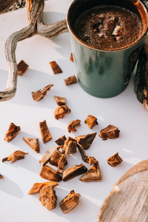 Le cacao aux champignons : une boisson bien-être unique